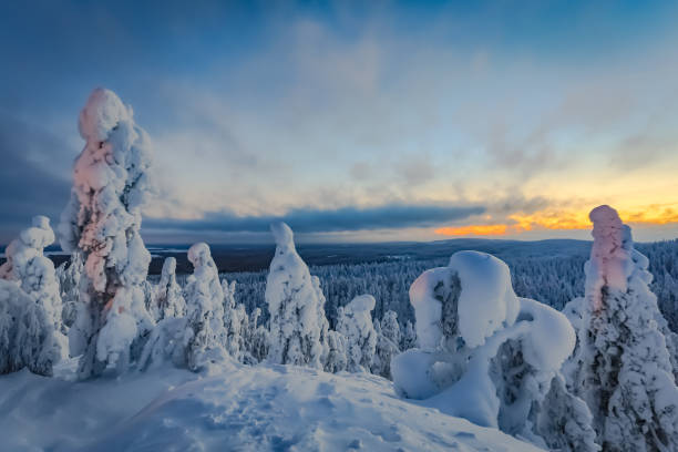 istock Snowy landscape from Sotkamo, Finland. 909946914
