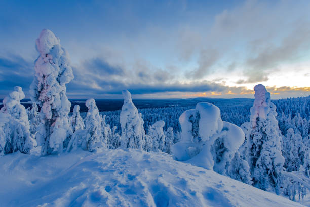 istock Snowy landscape from Sotkamo, Finland. 909946986