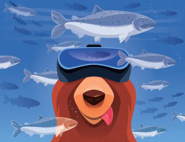 Vector illustration of hungry bear watching salmons with VR goggles