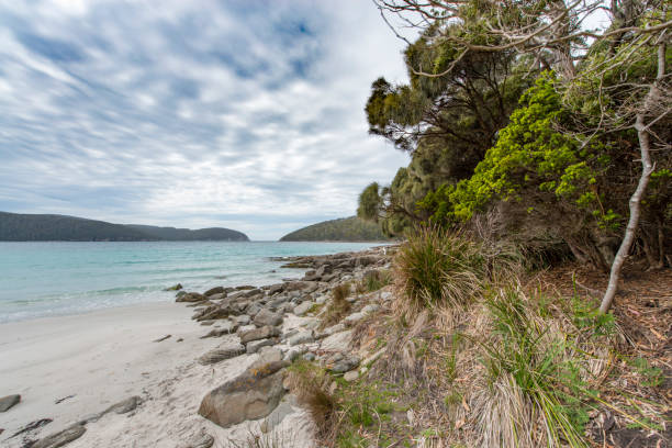 istock Beach at Coles Bay in Tasmania, Australia 909962138