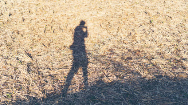 silhouette of people walking alone.