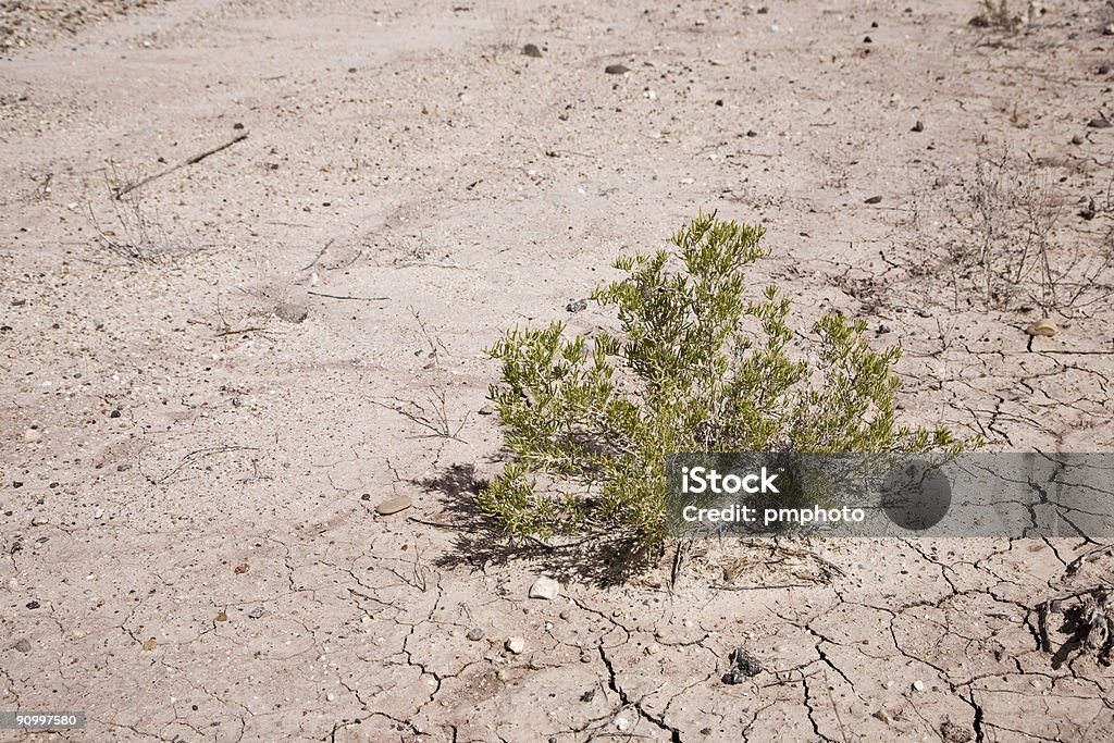 Cracked Earth  Abstract Stock Photo