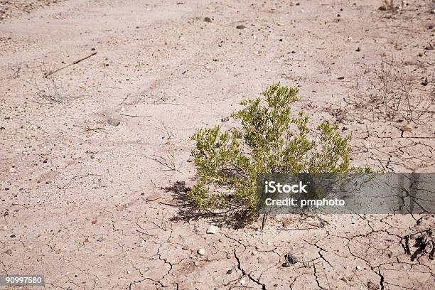 Cracked Earth Stock Photo - Download Image Now - Abstract, Arid Climate, Brown