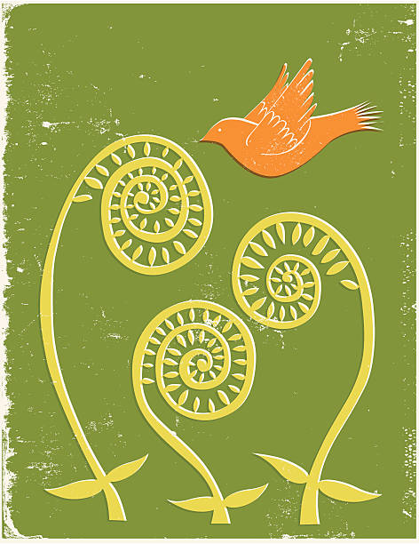 Fiddlehead ferns with bird  fiddle head stock illustrations