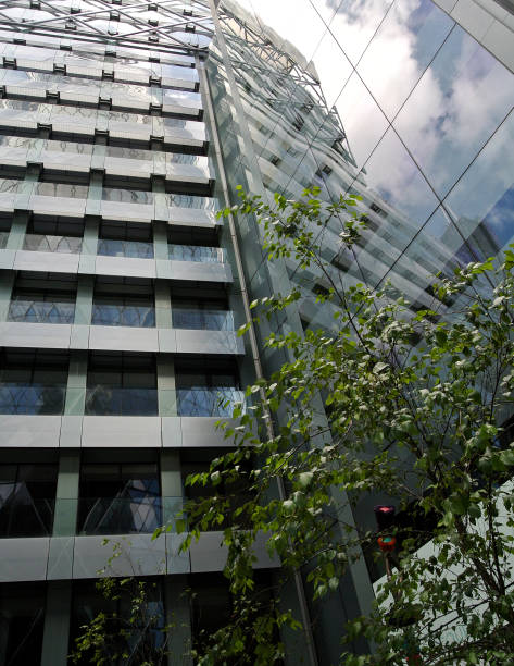 istock glass facade of the building 909991386