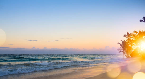Art Beautiful sunrise over the tropical beach