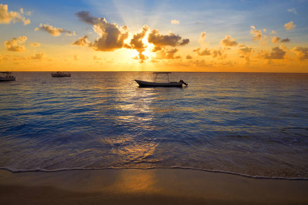 istock Riviera Maya sunrise beach in Mexico 909997360