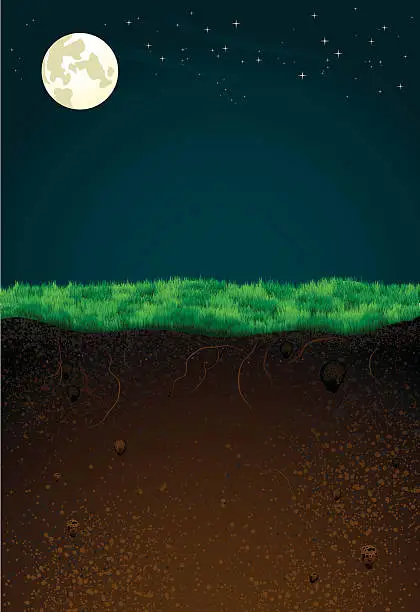 Vector illustration of Wordly Contrast (Night)