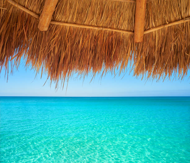 istock Caribbean beach sunroof in riviera Maya 910006124