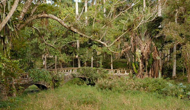 istock Footbridge at Hacienda Cortina Cuba 91001462
