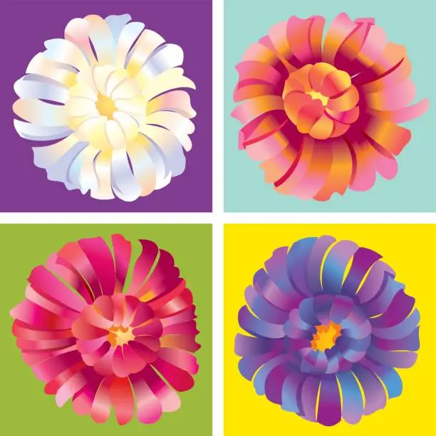 Vector illustration of Asters flowers