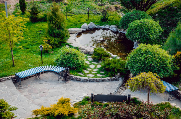 istock Landscape design. Beautiful background. Nature. Park 910025020