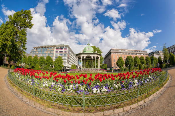 istock Altan with red tulips during spring time in Bergen, Norway 910032712
