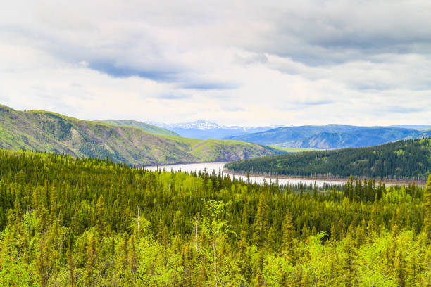 il fiume yukon in alaska - fairbanks foto e immagini stock