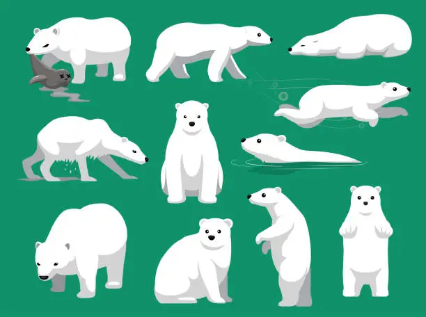Vector illustration of Polar Bear Eating Seal Cute Cartoon Vector Illustration