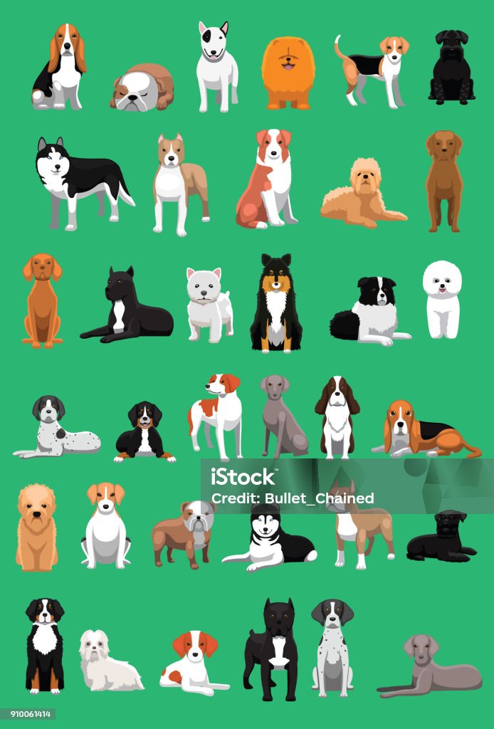 Various Medium Size Dog Breeds Cartoon Vector Illustration Animal Cartoon EPS10 File Format Dog stock vector