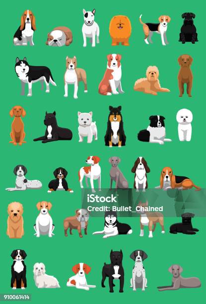 Various Medium Size Dog Breeds Cartoon Vector Illustration Stock Illustration - Download Image Now