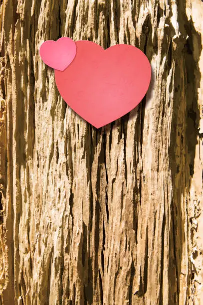 Vector illustration of Valentine's Day background [Heart on decayed wood]