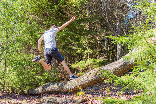 Young happy man running jogging jumping over fallen tree branch in autumn, fall, summer pine forest in mid-air