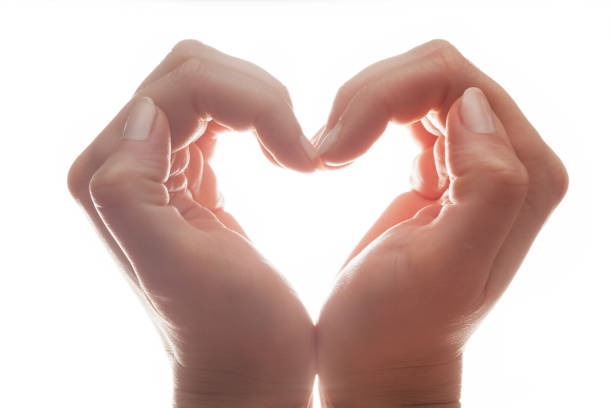 istock Woman's hands make a heart shape on white background, backlight. Love 910090178