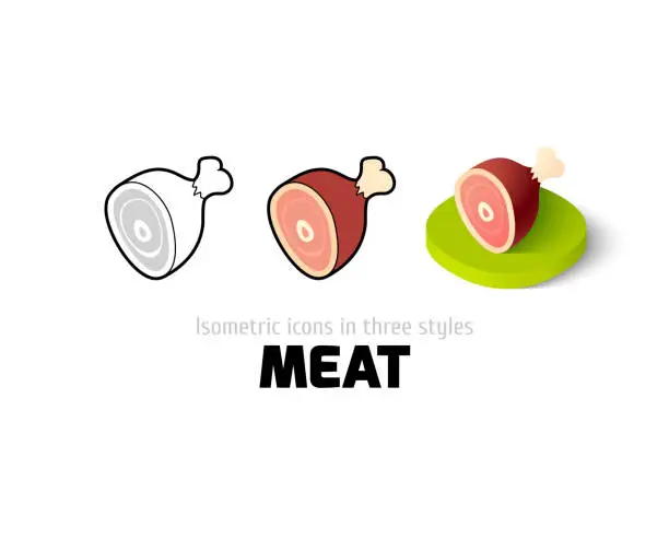 Vector illustration of Meat icon in different style