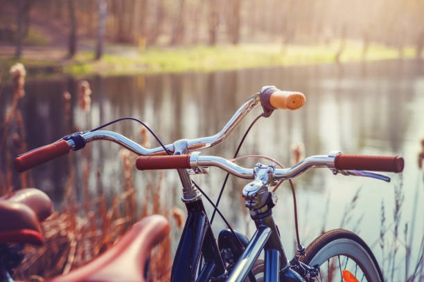 istock Two bikes standing on the shore of forest lake. 910097350