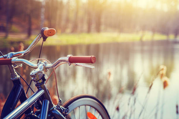 istock Two bikes standing on the shore of forest lake. 910097376