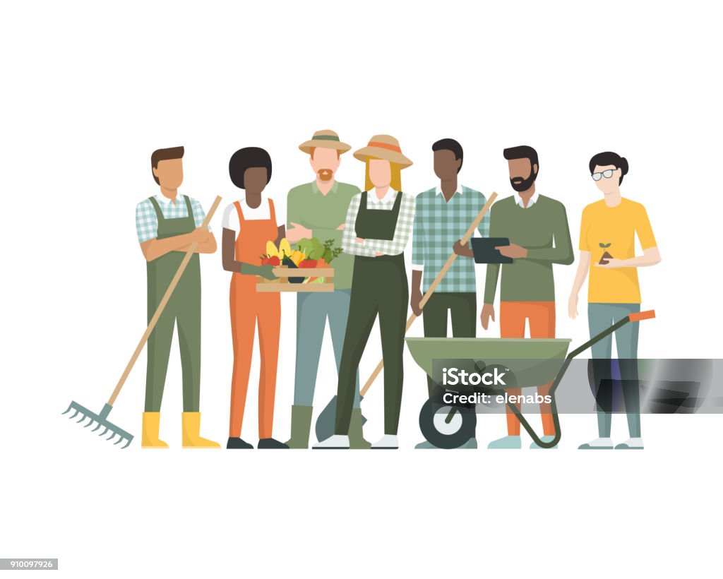 Group of farmers Multiethnic team of farmers standing together, they are holding tools and a crate with organic vegetables Farmer stock vector