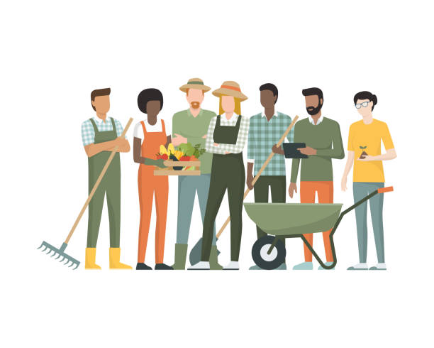 Group of farmers Multiethnic team of farmers standing together, they are holding tools and a crate with organic vegetables agriculture illustrations stock illustrations