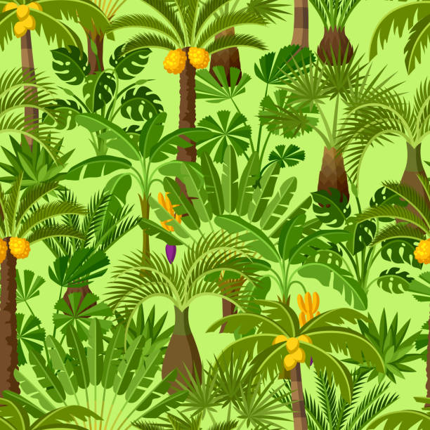 illustrazioni stock, clip art, cartoni animati e icone di tendenza di motivo senza cuciture con palme tropicali. piante tropicali esotiche illustrazione della natura della giungla - cheese plant leaf tree park