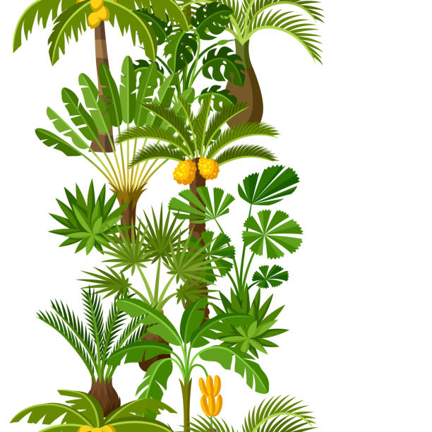 illustrazioni stock, clip art, cartoni animati e icone di tendenza di motivo senza cuciture con palme tropicali. piante tropicali esotiche illustrazione della natura della giungla - cheese plant leaf tree park