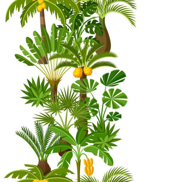 бесшовный узор с тропическими пальмами. экзотические тропические растения иллюстрация природы джунглей - cheese plant leaf tree park stock illustrations