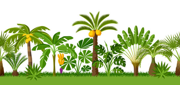 бесшовный узор с тропическими пальмами. экзотические тропические растения иллюстрация природы джунглей - cheese plant leaf tree park stock illustrations