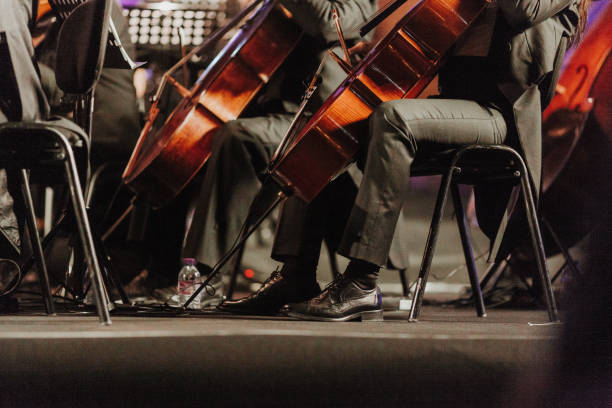 istock Low Section Of People Playing Double Bass 910106408