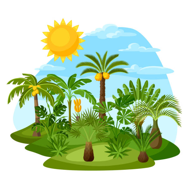 карта с тропическими пальмами. экзотические тропические растения иллюстрация природы джунглей - cheese plant leaf tree park stock illustrations