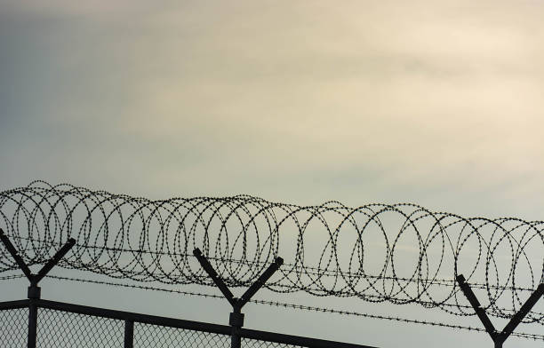 barbed wire fence used for protection purposes of property and imprisonment, no freedom, barbed wire on fence with blue sky to feel worrying. - lpn imagens e fotografias de stock