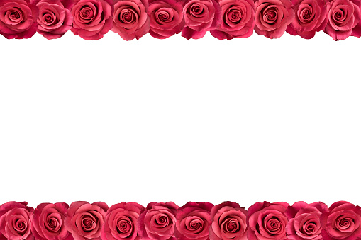 ✓ Pink roses frame vertical Stock Photos