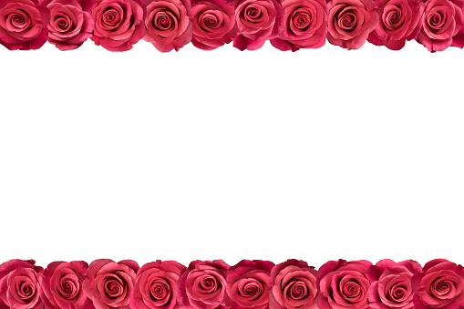 ✓ Pink roses frame vertical Stock Photos ✓ Pink roses frame vertical Stock Photos