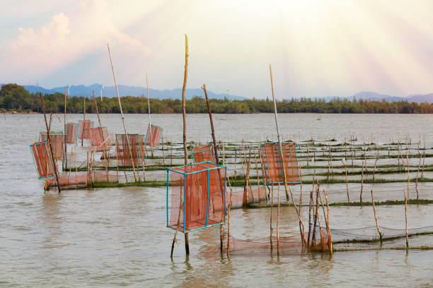 istock fishing tool in the lake 910113316