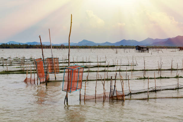 istock fishing tool in the lake 910113490