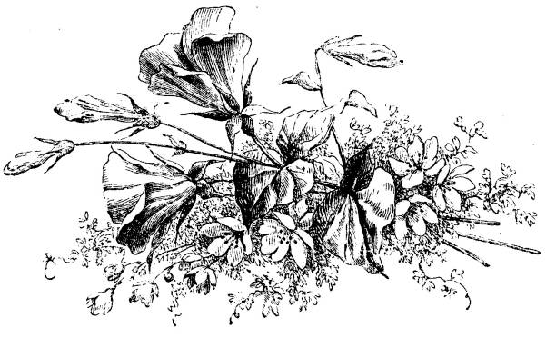 illustrazioni stock, clip art, cartoni animati e icone di tendenza di decorazione della trama vittoriana di un mazzo di fiori; disposizione floreale ottocentesca e decorazioni della pagina del libro 1879 - old book illustrations