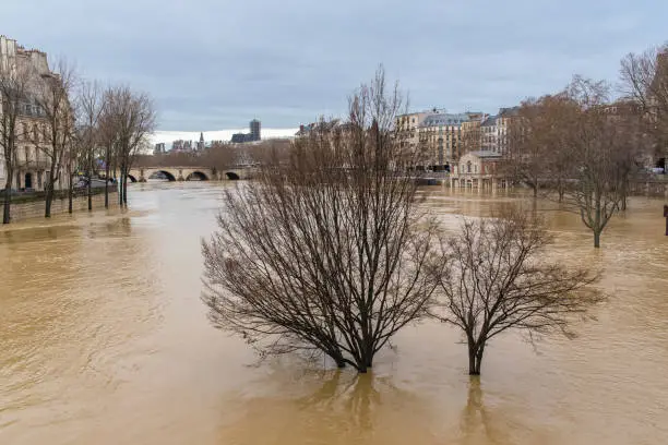 Photo of Paris, bank of the Seine under the floods