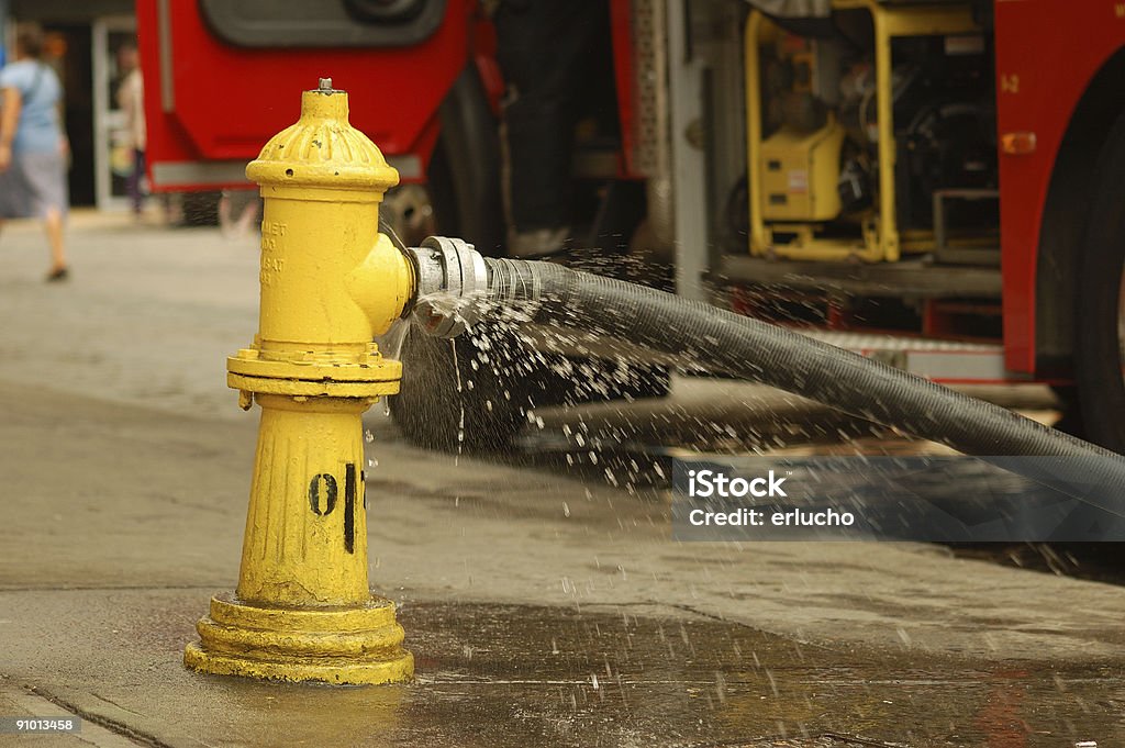 Hydrant and Firetruck  Adult Stock Photo