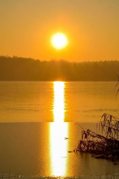 istock Beautiful morning landscape. 910144978