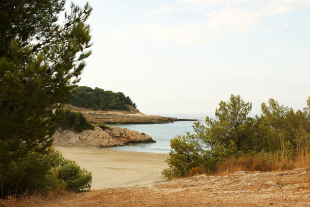 istock Coast of Martigues 910147646