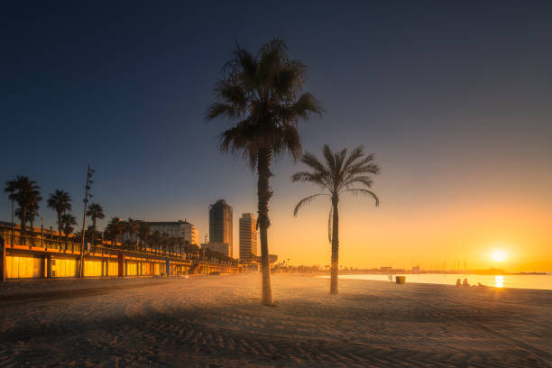 istock Barceloneta Beach in Barcelona 910148540