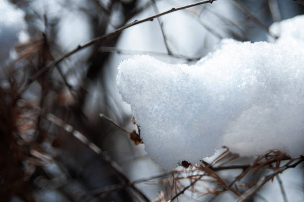 istock Close up shot of snowball 910148600