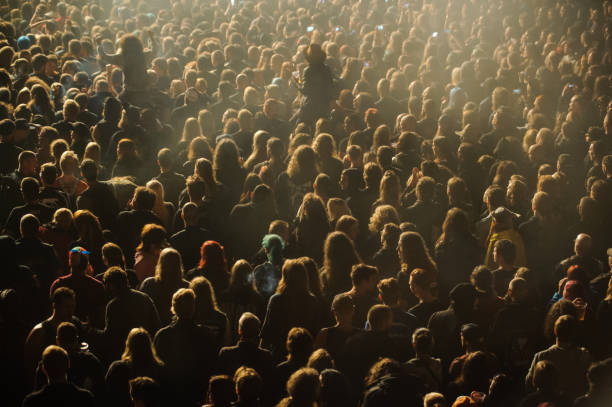 istock Music fans enjoying concert 910151272