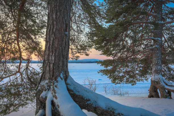 istock Winter sunset landscape from Sotkamo, Finland. 910152000