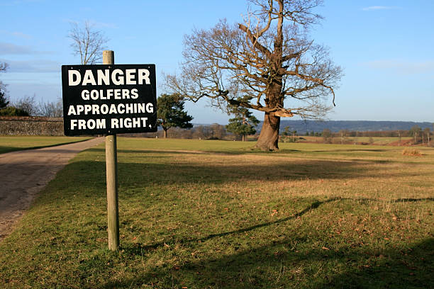 istock Knole Park in Sevenoaks, England 91015444